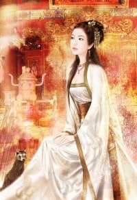 大婚晚辰