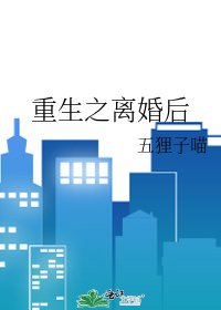 重生之离婚后